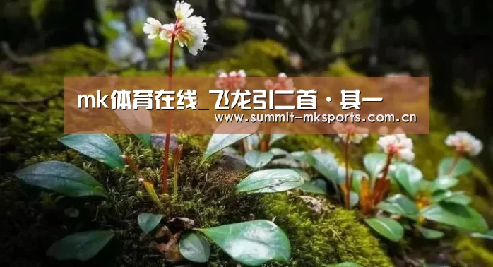 mk体育在线_飞龙引二首·其一(图1) mk体育在线