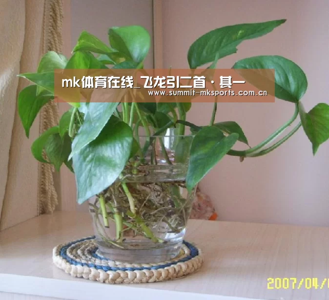 mk体育在线_飞龙引二首·其一(图3) mk体育下载