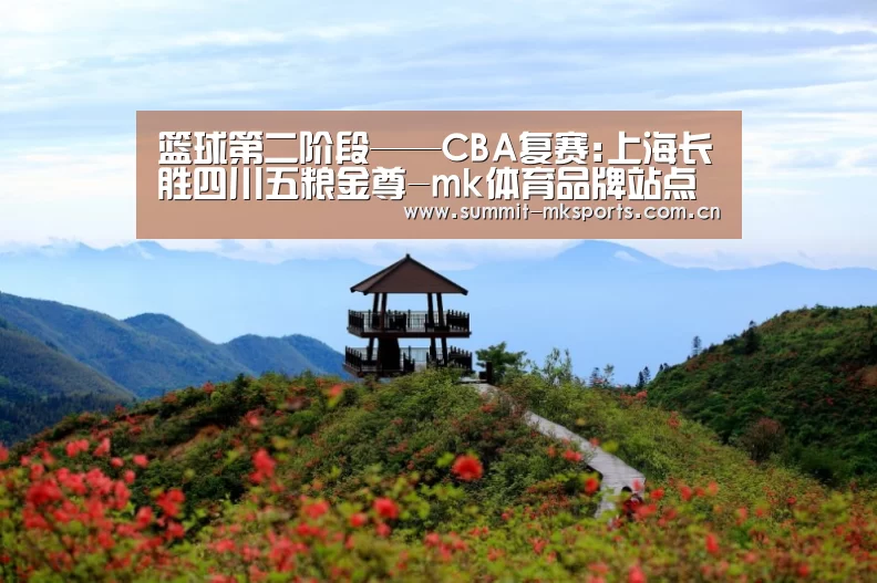 篮球第二阶段——CBA复赛:上海长胜四川五粮金尊-mk体育品牌站点(图5) mk体育品牌站点