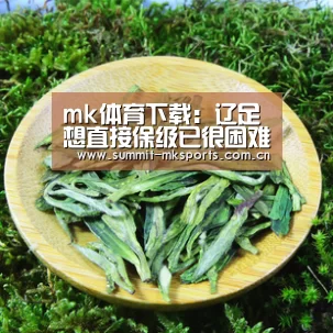mk体育下载:辽足想直接保级已很困难 要提前做好打附加赛准备(图2) mk体育app