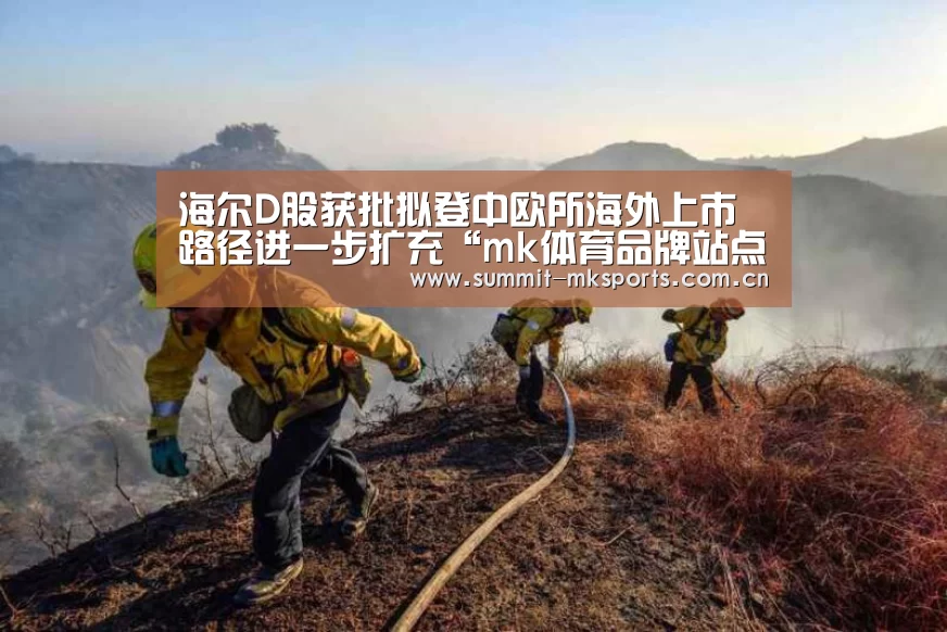 海尔D股获批拟登中欧所海外上市路径进一步扩充“mk体育品牌站点”(图3) mk体育下载