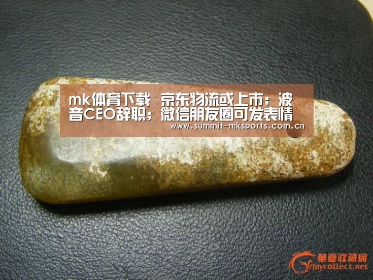 mk体育下载-京东物流或上市;波音CEO辞职;微信朋友圈可发表情包评论|雷锋早报(图1) mk体育app