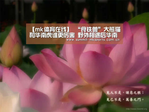 【mk体育在线】
“食铁兽”大熊猫和华南虎谁更厉害 野外相遇后华南虎会吃它吗?(图1) mk体育下载