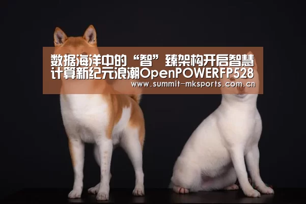 数据海洋中的“智”臻架构开启智慧计算新纪元浪潮OpenPOWERFP5280G2服务器全面上市‘mk体育下载’(图1) mk体育app